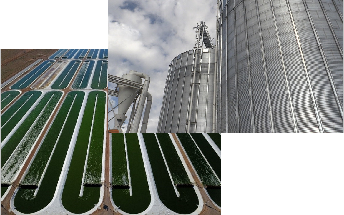 a photo of a algae farm and a grain silo