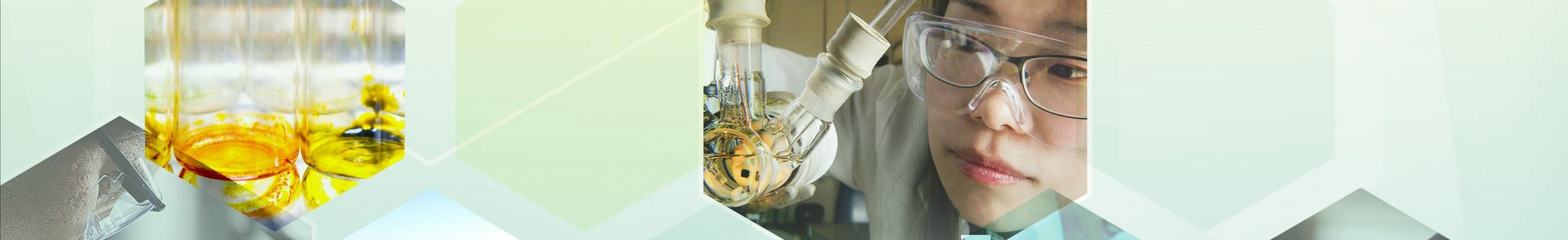 the cover photo of the Bioeconomy Initiative: Implementation Framework document.